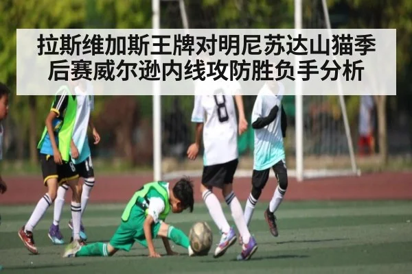 拉斯维加斯王牌对明尼苏达山猫季后赛威尔逊内线攻防胜负手分析