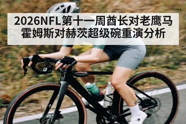 2026NFL第十一周酋长对老鹰马霍姆斯对赫茨超级碗重演分析